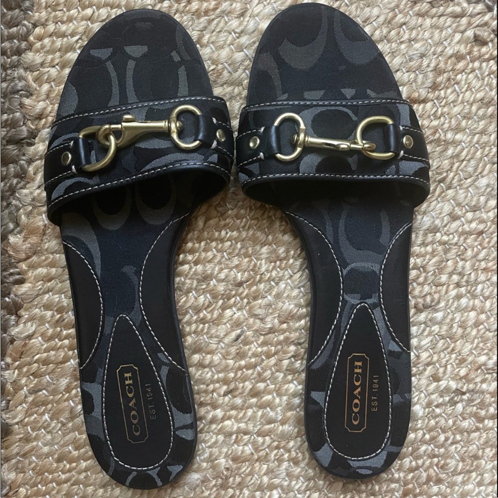 100 Authentic Coach Slides Gem